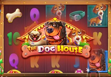 The Dog House — Dog or Alive